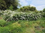IMG_4440.jpg